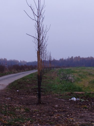 zakládání biokoridorů a biocenter 3