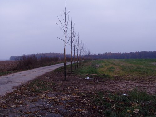 zakládání biokoridorů a biocenter 4