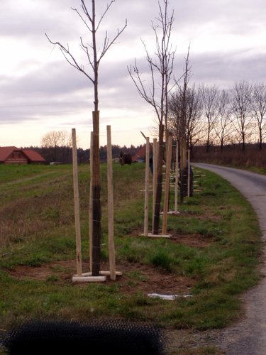 zakládání biokoridorů a biocenter 6